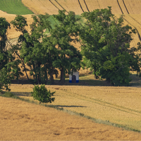 Kaplička.