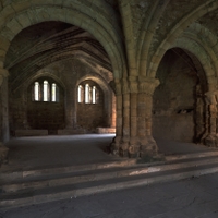 Kirkstall Abbey...VI.