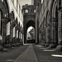 Kirkstall Abbey...VII.