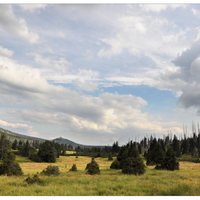 Šumava