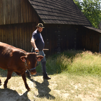 Valašská dědina