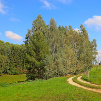 Cestička k lesu