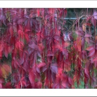 Malované dlouhým časem - barvy podzimu