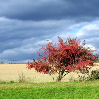 Barevný podzim