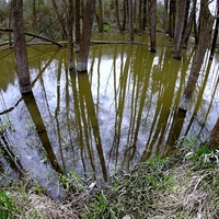 ˇBobří jezero