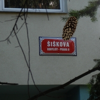 Šiškova