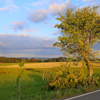 Po bouřce 