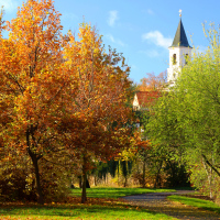 V pražských parcich