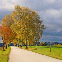 Barevný říjen 