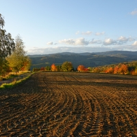 Polní zdobení