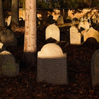 Lesní hřbitov