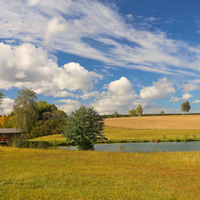 Podzimní louka