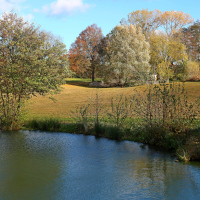Podzim u rybníku 