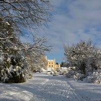 Zasněžený park