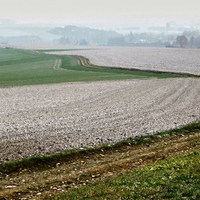 Vysočina u Cibotína