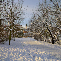 Cesta sněhem 