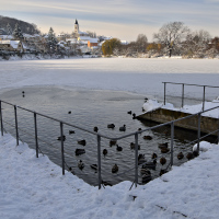 Když zamrzá rybnik