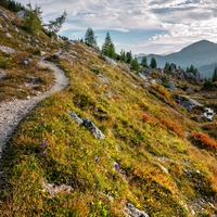 Cestičkou ve svahu