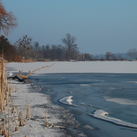 Zamrzlý rybník