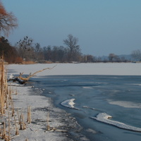 Zamrzlý rybník