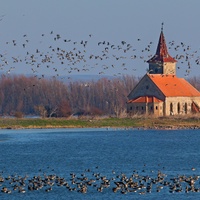 Mušovský kostel svatého Linharta