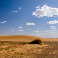 jarní Sahara