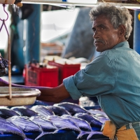 Na rybím tržišti