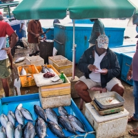 Na rybím tržišti