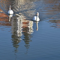 Telčská zastavení