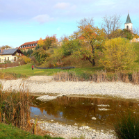 U vypuštěného rybniku 