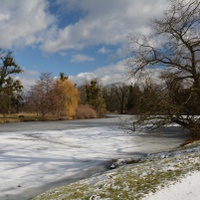 Zimní rybník