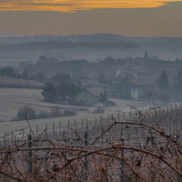 Šardicko.