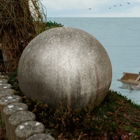 Scybalum globosum subsp. maritimum