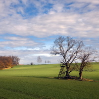 jarní krajinka