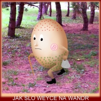 Užijte si velikonoce i Vy!