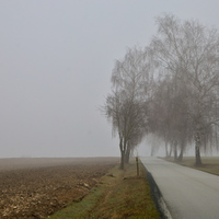 Zamlžená Vysočina 