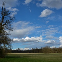 Rozfoukaná