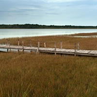 Laguna Cobá