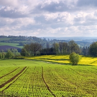 Vysočina u Květnova