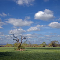 pamětník