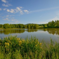 Moštěnický rybník 