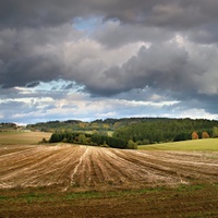 Vysočina u Skřivánku