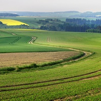Vysočina u České Bělé