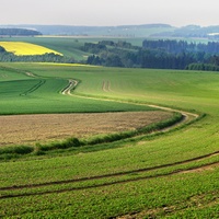 Vysočina u České Bělé