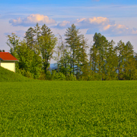 Domek na Vysočině 