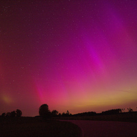 Autora Borealis 