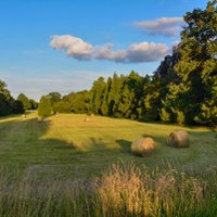 Senoseč v parku