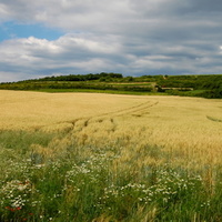 Léto