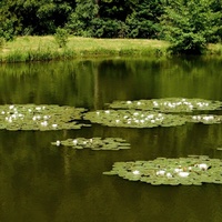 Rybník Hajdovec