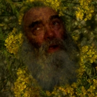 Zlej sen